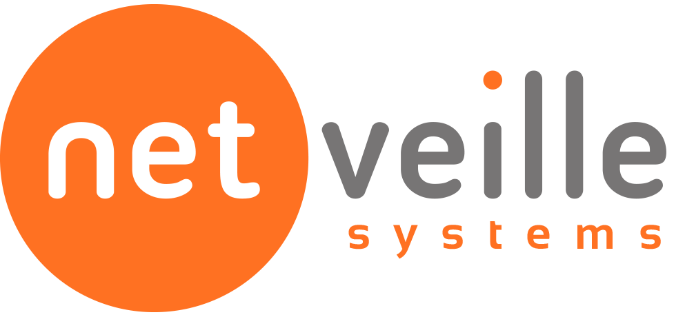Logo de Net-Veille Systems