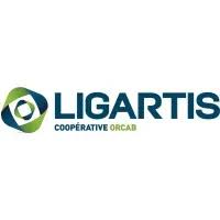 Logo de Ligartis